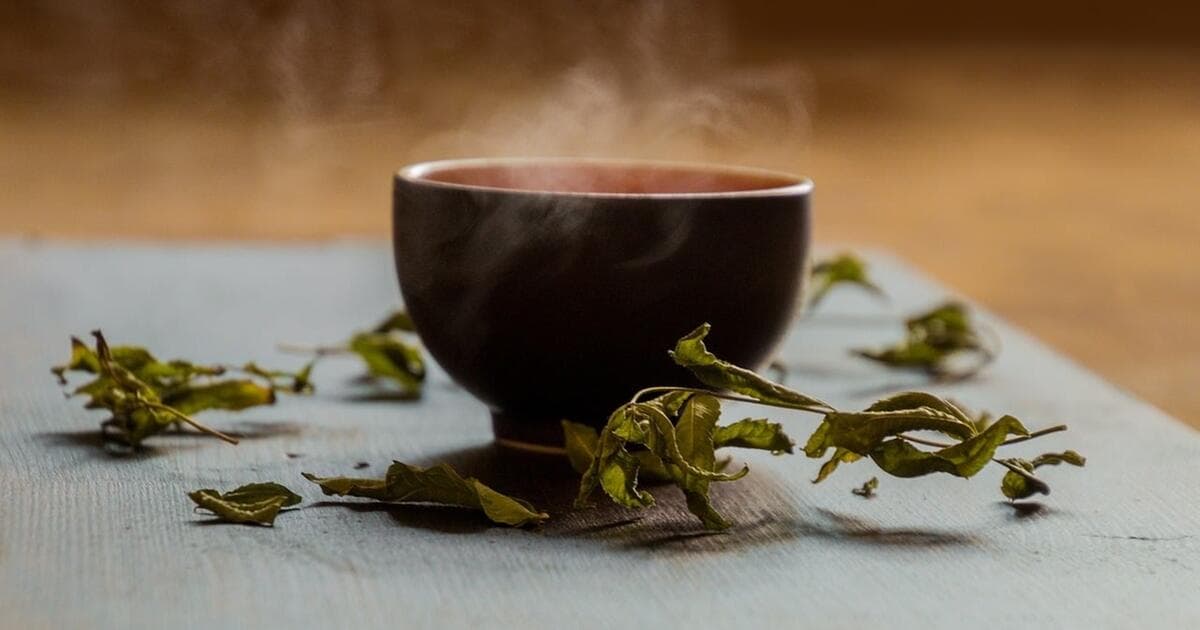 Sencha-Tee: Gesundheitsvorteile und nachhaltige Beschaffung